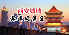 老骚逼逼网中国陕西-西安城墙旅游风景区